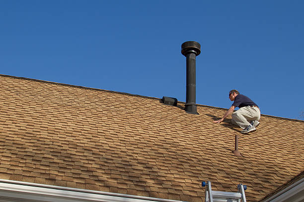 Best Roof Moss and Algae Removal  in Sturgis, MI